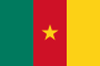 Bandera de Camerún