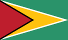 Bandera de Guyana