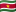 Bandera de Surinam