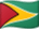 Bandera de Guyana