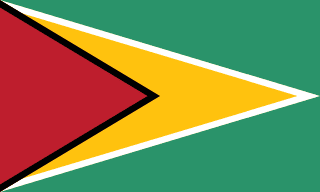 Bandera de Guyana